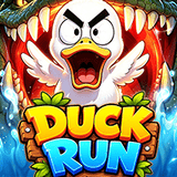 Duck-run