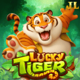 Lucky-tiger
