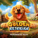 Golden-retriever