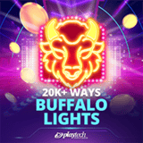 20k+-ways-buffalo-lights