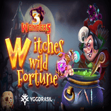 Witches-wild-fortune