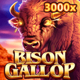 Bison-gallop